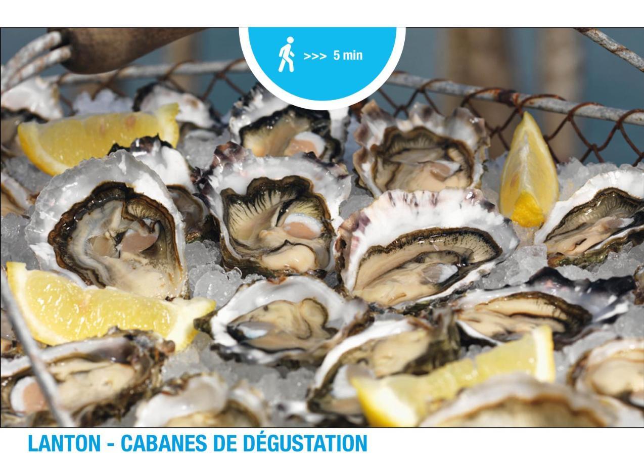 - 6 Pers. Terrasse * Lanton